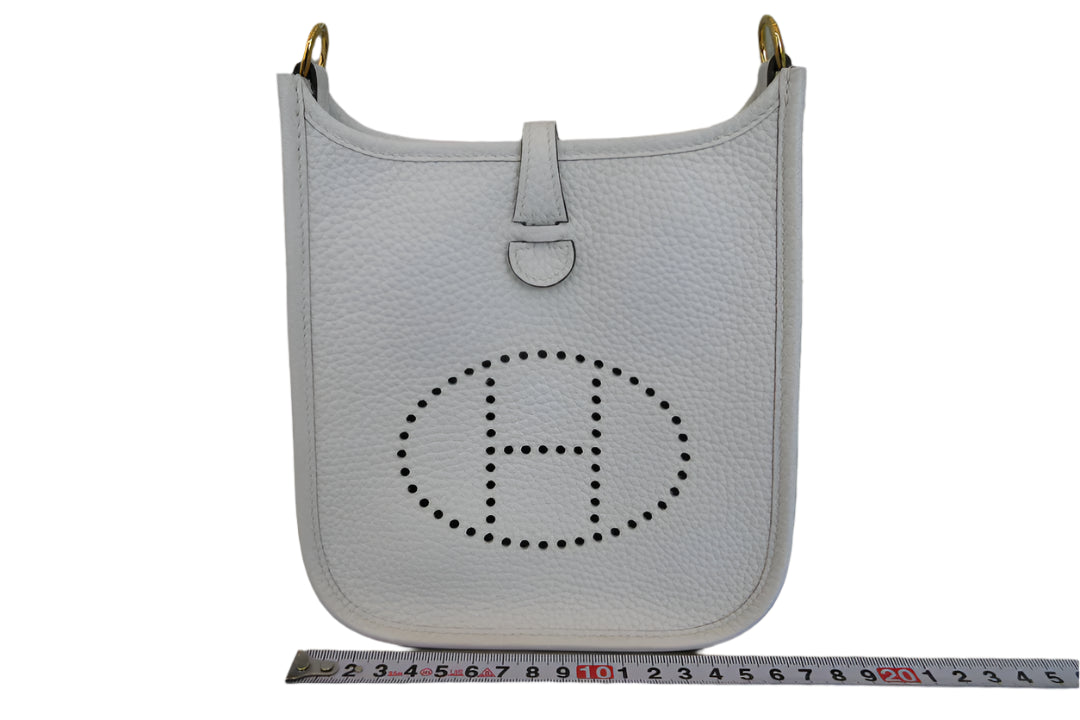 HERMES EVELYNE TPM (202502058)